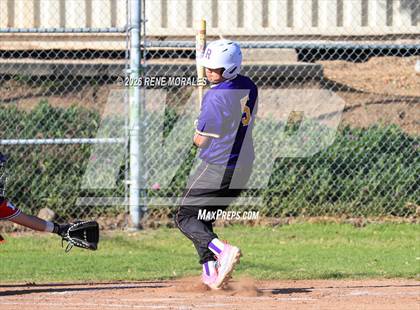 Thumbnail 2 in Righetti vs Marshall photogallery.