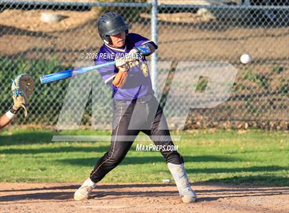 Thumbnail 1 in Righetti vs Marshall photogallery.