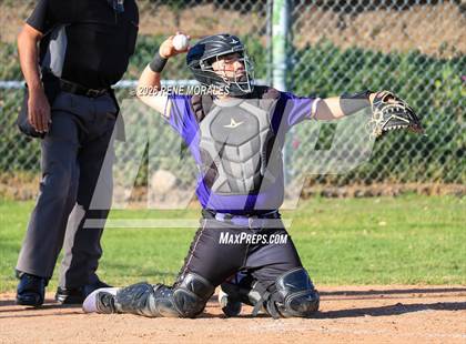 Thumbnail 3 in Righetti vs Marshall photogallery.