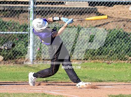 Thumbnail 2 in Righetti vs Marshall photogallery.