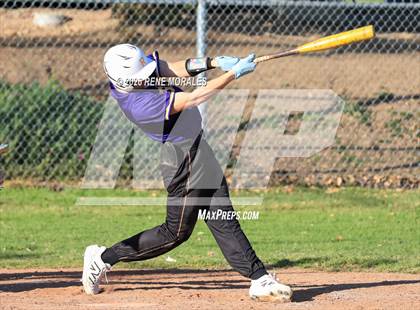 Thumbnail 1 in Righetti vs Marshall photogallery.
