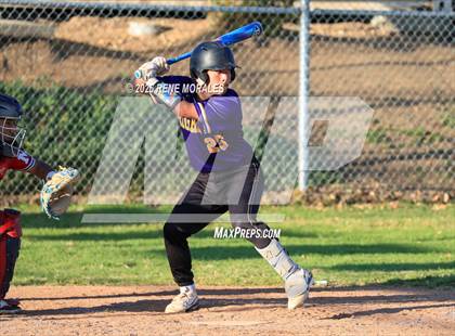 Thumbnail 3 in Righetti vs Marshall photogallery.