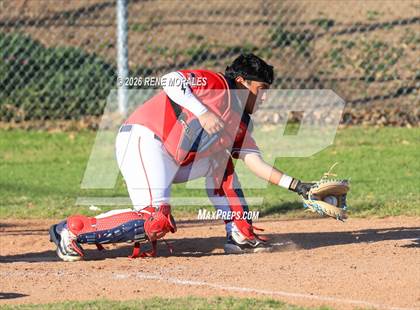Thumbnail 3 in Righetti vs Marshall photogallery.