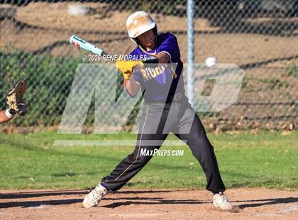 Thumbnail 1 in Righetti vs Marshall photogallery.