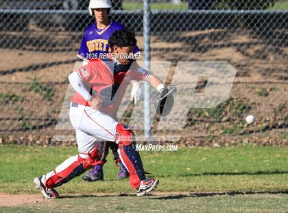 Thumbnail 1 in Righetti vs Marshall photogallery.