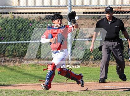 Thumbnail 1 in Righetti vs Marshall photogallery.