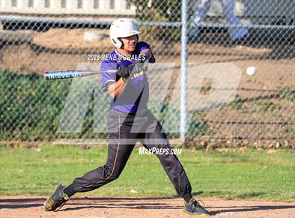 Thumbnail 3 in Righetti vs Marshall photogallery.