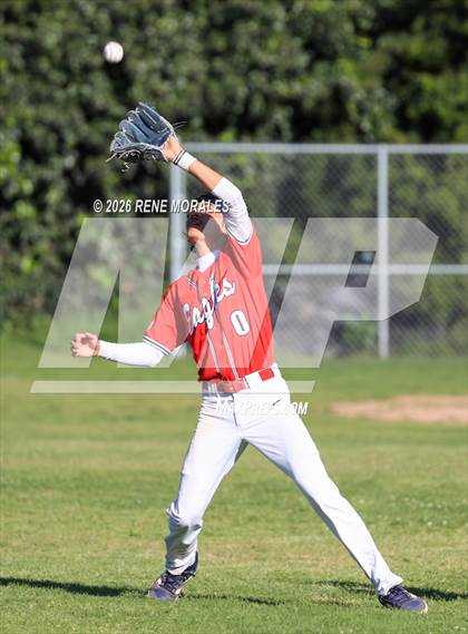 Thumbnail 2 in Righetti vs Marshall photogallery.