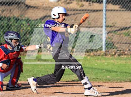 Thumbnail 2 in Righetti vs Marshall photogallery.