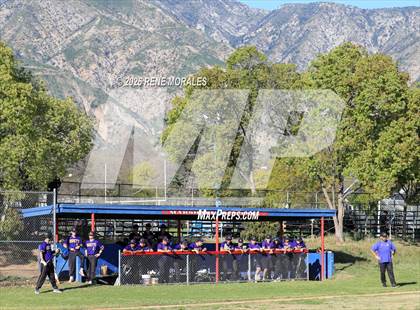 Thumbnail 3 in Righetti vs Marshall photogallery.