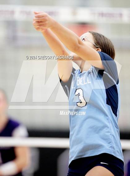 Thumbnail 1 in Bell vs Timber Creek photogallery.