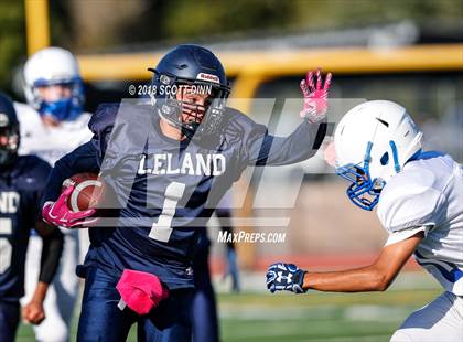 Thumbnail 3 in Pioneer @ Leland photogallery.
