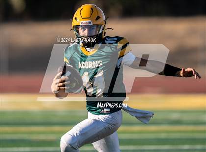 Thumbnail 3 in Oak Grove @ Live Oak photogallery.