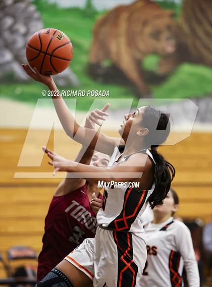 Thumbnail 2 in Torres @ Selma photogallery.