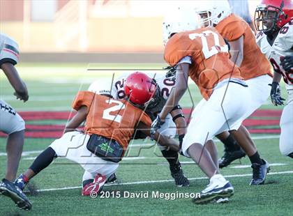 Thumbnail 3 in Bowie @ Cedar Hill photogallery.