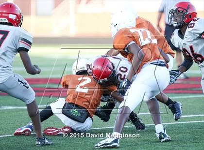 Thumbnail 1 in Bowie @ Cedar Hill photogallery.