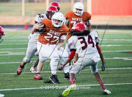 Thumbnail 1 in Bowie @ Cedar Hill photogallery.