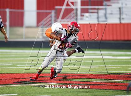Thumbnail 1 in Bowie @ Cedar Hill photogallery.