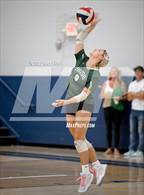 Photo from the gallery "Gordon Lee vs. Notre Dame"