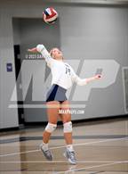 Photo from the gallery "Gordon Lee vs. Notre Dame"