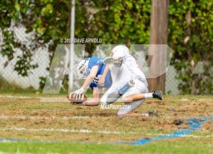 Thumbnail 2 in Melrose @ Stoneham photogallery.