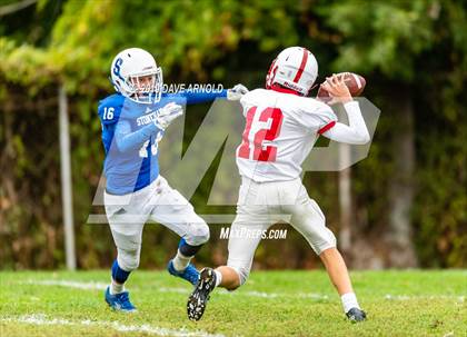 Thumbnail 2 in Melrose @ Stoneham photogallery.