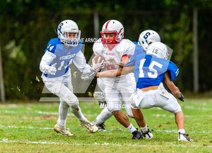 Thumbnail 2 in Melrose @ Stoneham photogallery.