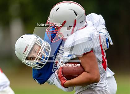 Thumbnail 3 in Melrose @ Stoneham photogallery.