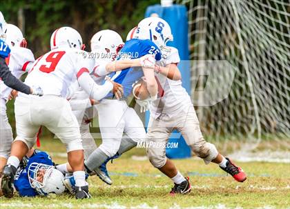 Thumbnail 2 in Melrose @ Stoneham photogallery.