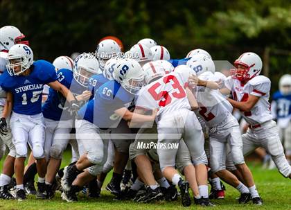 Thumbnail 3 in Melrose @ Stoneham photogallery.