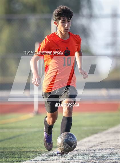 Thumbnail 3 in Temescal Canyon vs. Poly photogallery.
