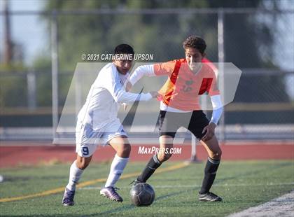 Thumbnail 1 in Temescal Canyon vs. Poly photogallery.