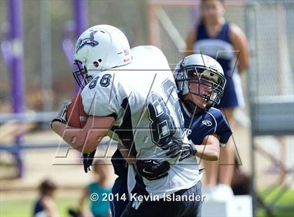 Thumbnail 2 in Westmark @ Rolling Hills Prep photogallery.