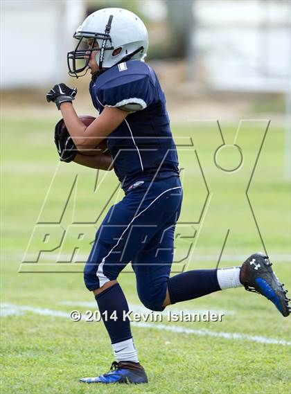 Thumbnail 3 in Westmark @ Rolling Hills Prep photogallery.