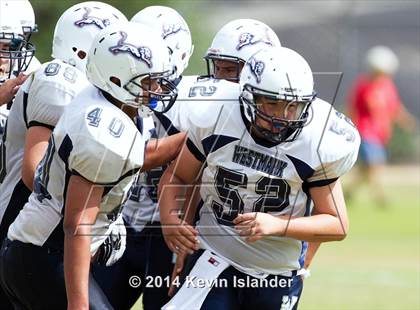 Thumbnail 2 in Westmark @ Rolling Hills Prep photogallery.