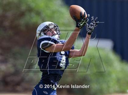 Thumbnail 3 in Westmark @ Rolling Hills Prep photogallery.