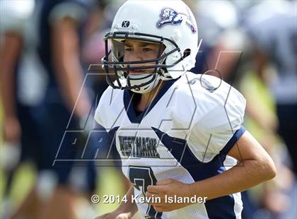 Thumbnail 1 in Westmark @ Rolling Hills Prep photogallery.