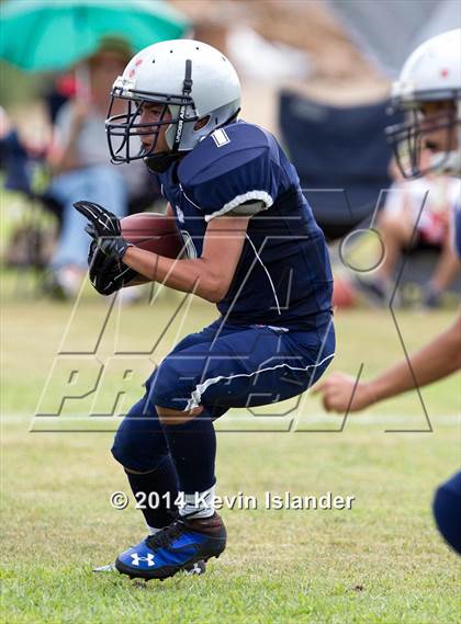 Thumbnail 3 in Westmark @ Rolling Hills Prep photogallery.