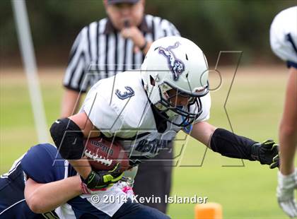 Thumbnail 2 in Westmark @ Rolling Hills Prep photogallery.