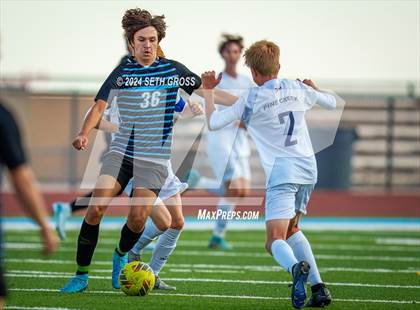 Thumbnail 3 in Pine Creek @ Vista Ridge photogallery.