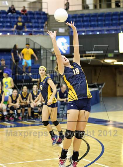 Thumbnail 3 in El Camino vs Gregori (CIF SJS D2 Final) photogallery.