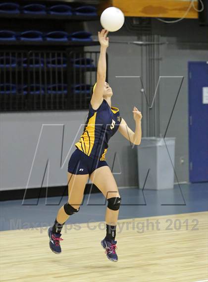 Thumbnail 2 in El Camino vs Gregori (CIF SJS D2 Final) photogallery.
