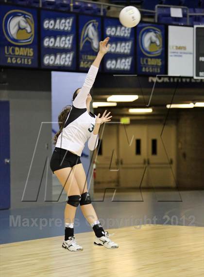 Thumbnail 1 in El Camino vs Gregori (CIF SJS D2 Final) photogallery.