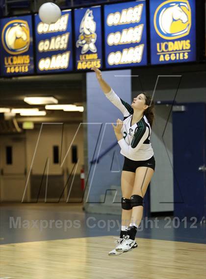 Thumbnail 1 in El Camino vs Gregori (CIF SJS D2 Final) photogallery.