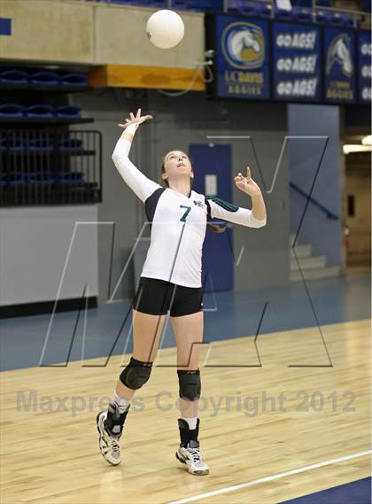 Thumbnail 3 in El Camino vs Gregori (CIF SJS D2 Final) photogallery.