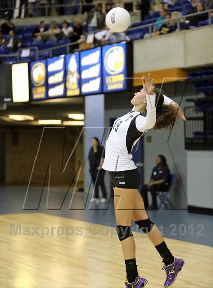 Thumbnail 2 in El Camino vs Gregori (CIF SJS D2 Final) photogallery.