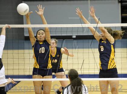 Thumbnail 2 in El Camino vs Gregori (CIF SJS D2 Final) photogallery.