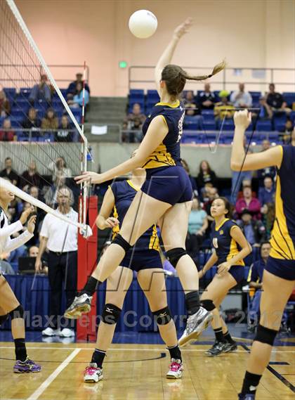 Thumbnail 1 in El Camino vs Gregori (CIF SJS D2 Final) photogallery.