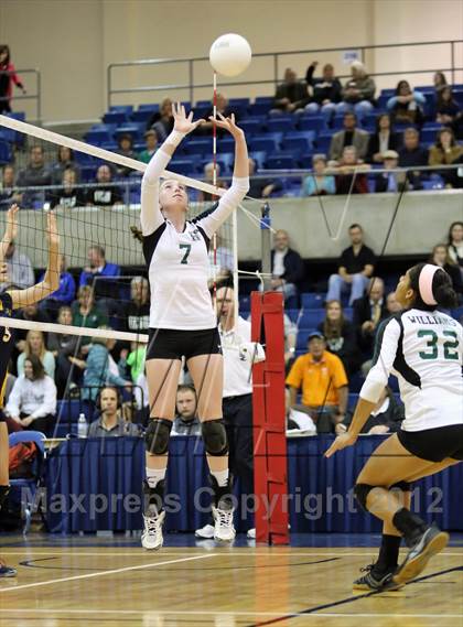 Thumbnail 2 in El Camino vs Gregori (CIF SJS D2 Final) photogallery.