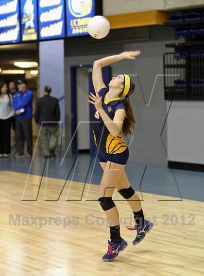 Thumbnail 2 in El Camino vs Gregori (CIF SJS D2 Final) photogallery.